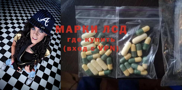 индика Калининец
