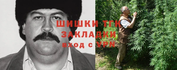 сатива Волосово