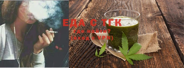 индика Калининец