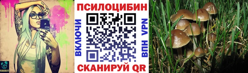 Галлюциногенные грибы мицелий  Купить  Плёс 